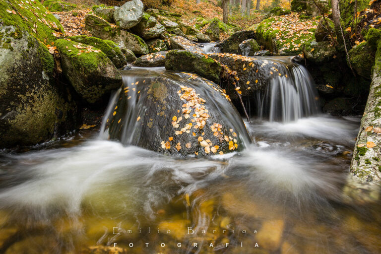 Chorros de agua