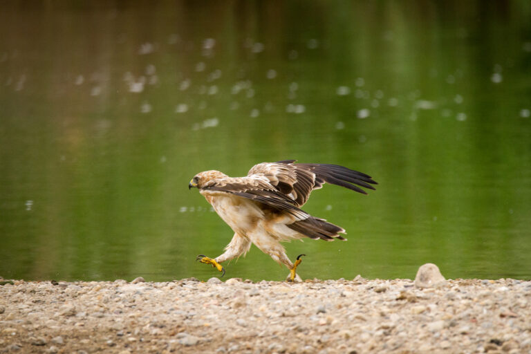 Running