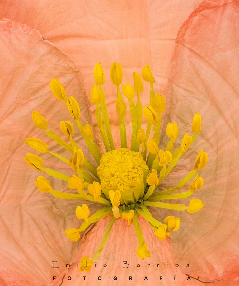 Artificio natural 2