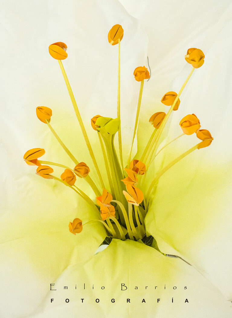 Artificio natural 1